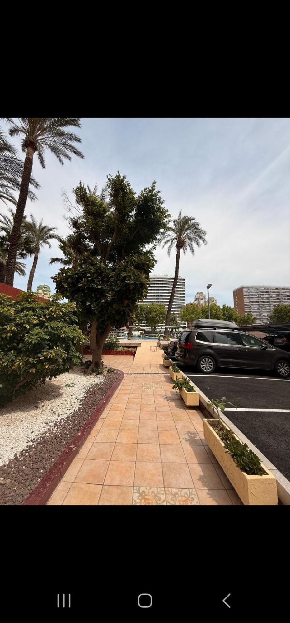 Las Damas Piso18 Benidorm Exterior foto